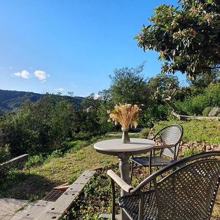 Calme Et Vue Panoramique Daire Pégomas Dış mekan fotoğraf